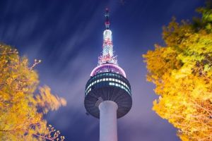Seoul Nightlife Thumbnail.jpg