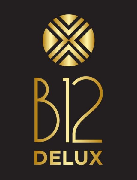 File:B12-Delux-Logo.jpg