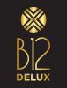 B12-Delux-Logo.jpg