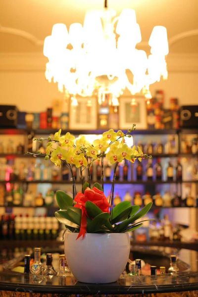 File:Eden bar3.jpg