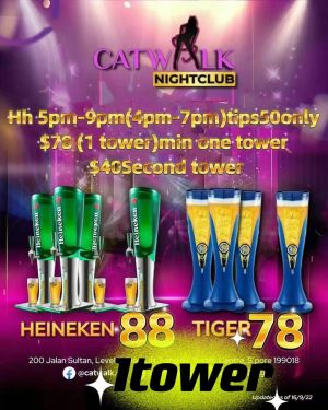 Catwalk Promo 2.jpg