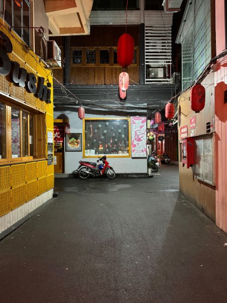 File:Nari bar path22.jpg