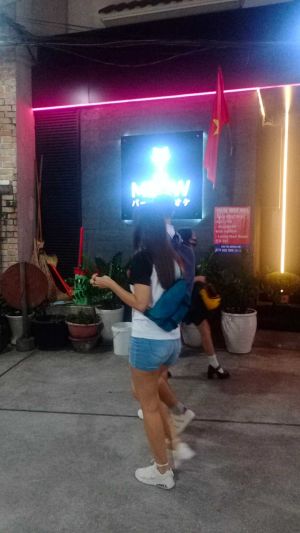 MEOW BAR2.jpg