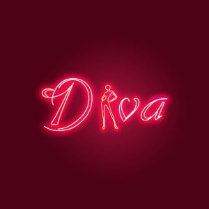 Diva disco.jpeg