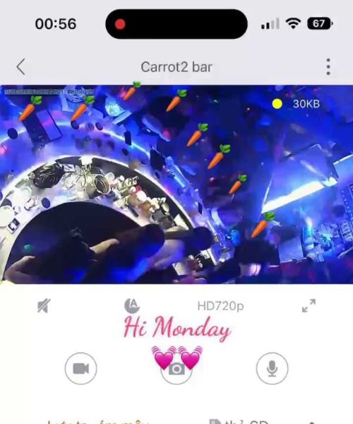 File:Carrot BAR1.jpg