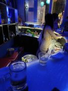Carrot BAR4.jpg